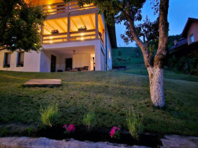 Casa Mara Viseu de Sus